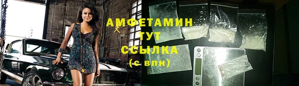 прущие грибы Балабаново