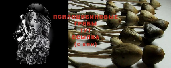 прущие грибы Балабаново