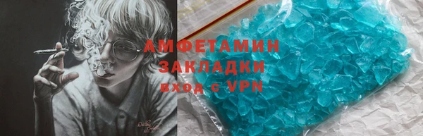 прущие грибы Балабаново