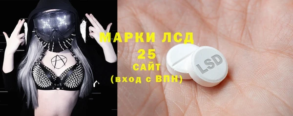 прущие грибы Балабаново