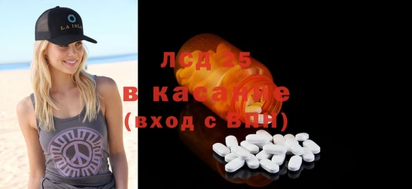 прущие грибы Балабаново