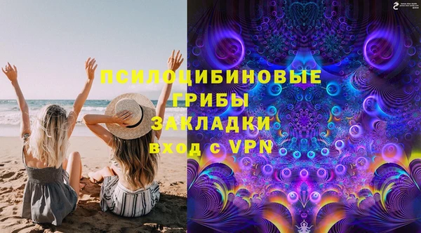 прущие грибы Балабаново
