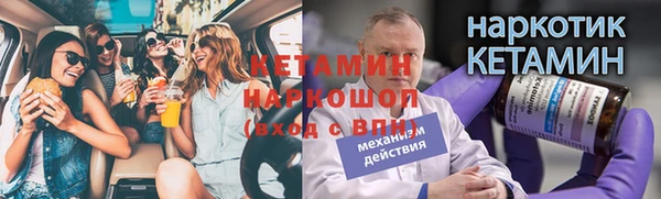 прущие грибы Балабаново