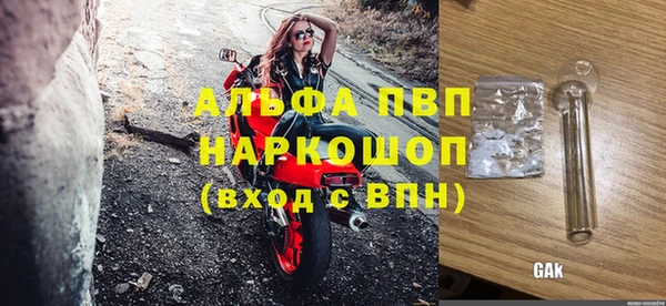 прущие грибы Балабаново
