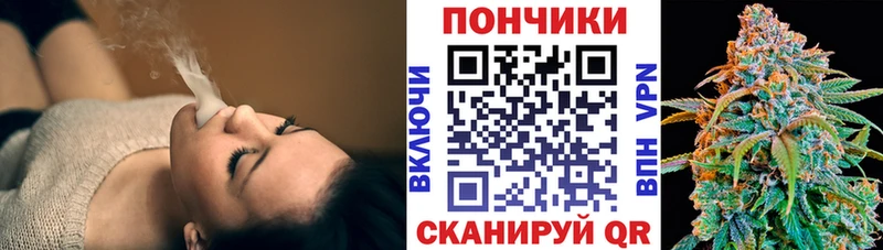 Конопля гибрид Новая Ляля